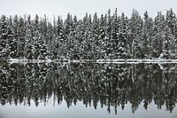 Winter in den Rocky Mountains USA