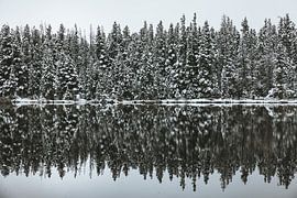 Winter in den Rocky Mountains USA von Get Framed Photography