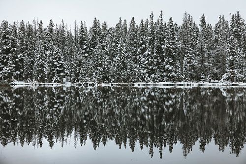 Winter in de rocky mountains USA