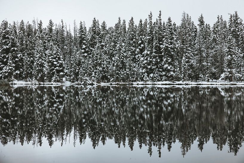 Winter in den Rocky Mountains USA von Get Framed Photography