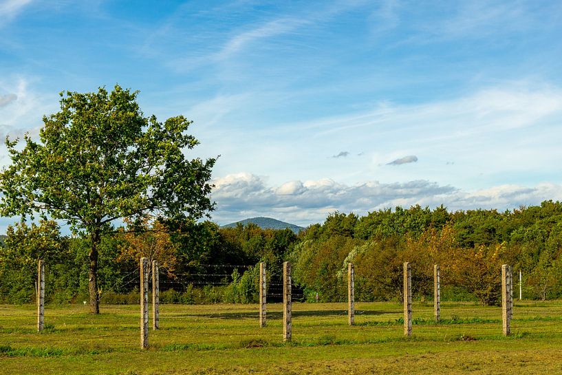Spaziergang auf dem Kolonnenweg in der Nähe der Gedenkstätte Point Alpha von Oliver Hlavaty