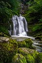 Waterval in de Franse Jura van Vincent Alkema thumbnail