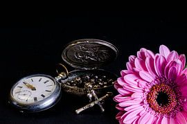 Nouveau vieux sur tolitoy creations