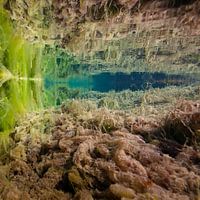 Photographie sous-marine