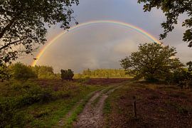 Rainbow over Drenthe by KB Design & Photography (Karen Brouwer)