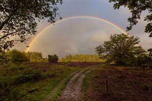 Regenboog boven Drenthe van KB Design & Photography (Karen Brouwer)