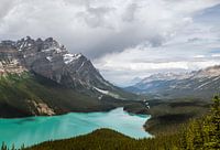 Peyto Lake in Alberta