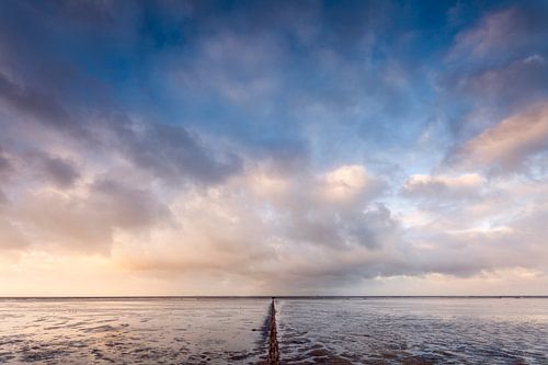 Breakwaters in the Frisian salt marsh near Ternaard by Ton Drijfhamer
