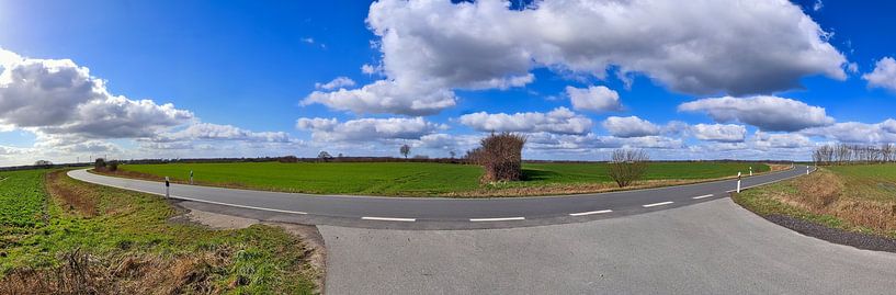 Panorama of a beautiful north german landscape with paths and roads by MPfoto71
