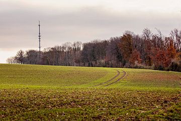 Zendmast Eyserbos van Rob Boon