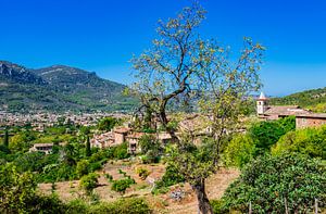 Prachtig landschapsgezicht van Soller en Biniaraix op Mallorca, Spanje