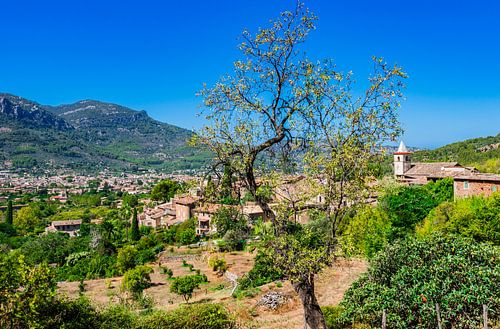 Schöner Landschaftsblick auf Soller und Biniaraix auf Mallorca, Spanien