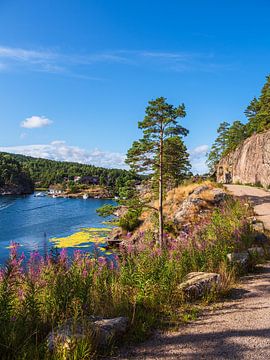 Landschaft an der Bucht Stølekilen bei Søgne in Norwegen von Rico Ködder