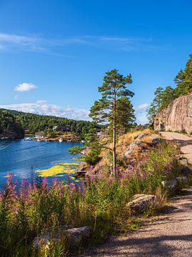 Landschap in de baai van Stølekilen bij Søgne in Noorwegen van Rico Ködder