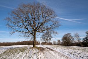 Bergischer Panoramasteig, Bergisches Land, Deutschland