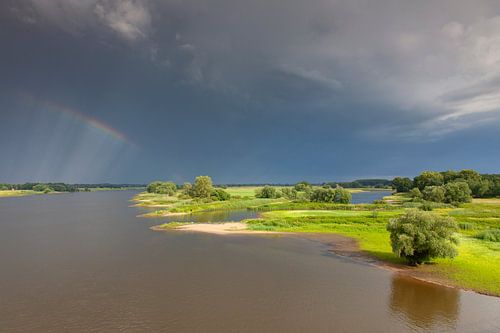 Uiterwaard Elbe