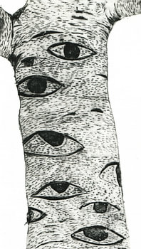Arbre aux yeux - Qui regarde qui ?