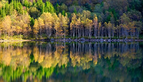 Quiet by Sabrina de Vries