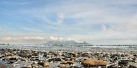 Stenen op het strand en de Tafelberg in Kaapstad Impressie