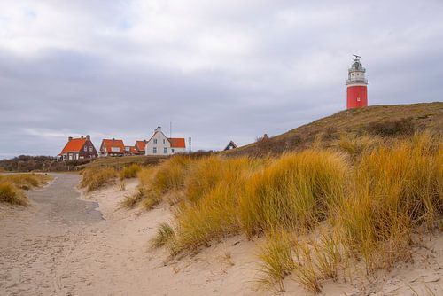 Lighthouse and houses in the dunes of Texel