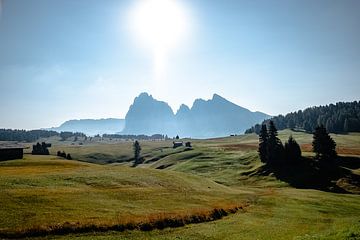 Wandel over Alpe di Siusi (Seiser Alm) I | Een reis door de Dolomieten, Italië van Roos Maryne - Natuur fotografie