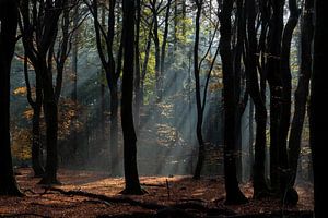 Illuminé par le soleil.