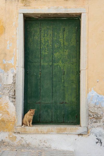 cat for old door by gj heinhuis