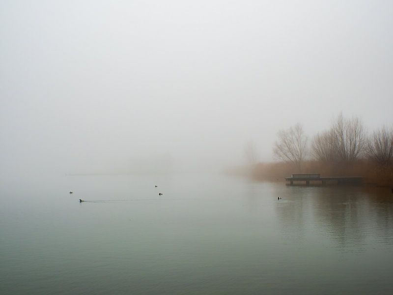 The Haarrijnseplas In The Mist by Mr White Takes Pictures