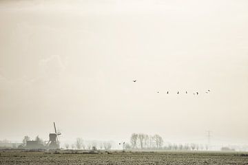 Windmill of Kockengen in early morning by Jeroen Stel