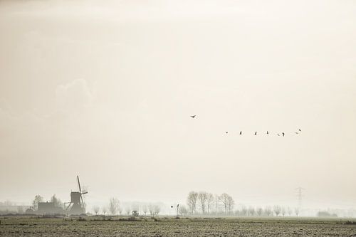 Windmolen van Kockengen in vroege ochtend