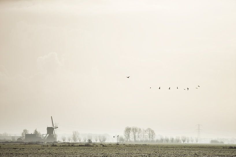 Windmill of Kockengen in early morning by Jeroen Stel