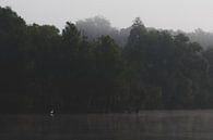 Weißer Reiher. Nebel. Landschaft. Bildende Kunst. von Quinten van Ooijen Miniaturansicht