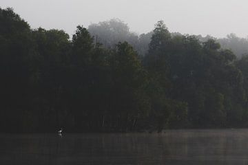 Weißer Reiher. Nebel. Landschaft. Bildende Kunst. von Quinten van Ooijen