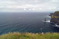 Cliff's of Moher - Irland von Babetts Bildergalerie Miniaturansicht