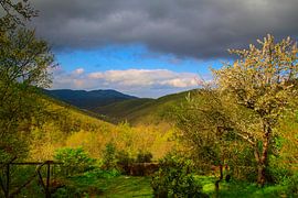 Val d'Arrone Spring morning by Images from a hillside in Umbria