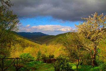 Val d'Arrone Lenteochtend van Images from a hillside in Umbria
