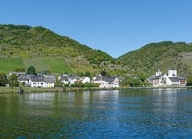 Weinort Treis-Karden an der Mosel von Peter Eckert