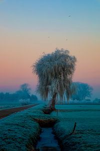 Winterse taferelen van Annemarie Veldman