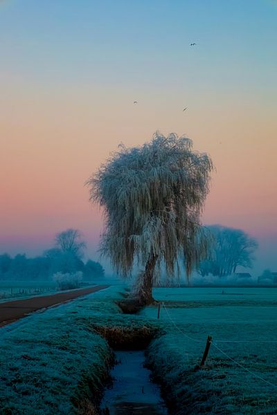 Winter scenes by Annemarie Veldman
