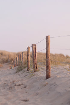 Beachcombing dans les dunes I Bloemendaal, Noord-Holland I Couleurs pastel I Photographie