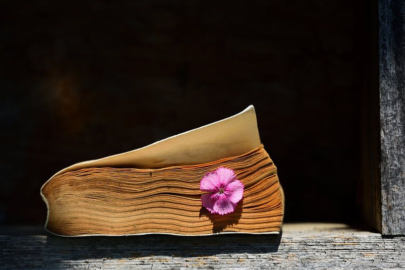 An old closed book by Ulrike Leone