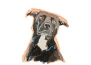 Staffordshire Terrier van Wilfried van Dokkumburg thumbnail
