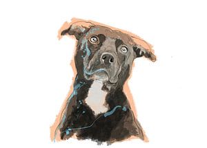 Staffordshire Terrier von Wilfried van Dokkumburg