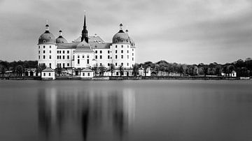 Schloss Moritzburg in schwarz-weiß