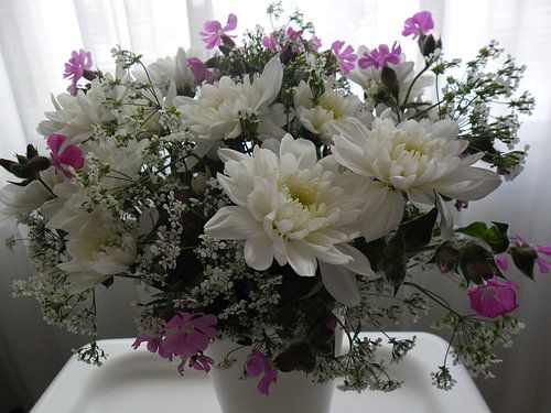 Witte bloemen