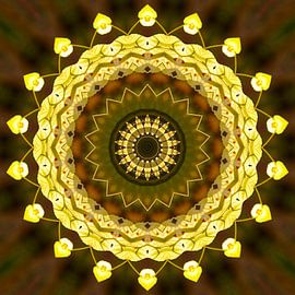 Mandala, darker style by Steffi Hommel