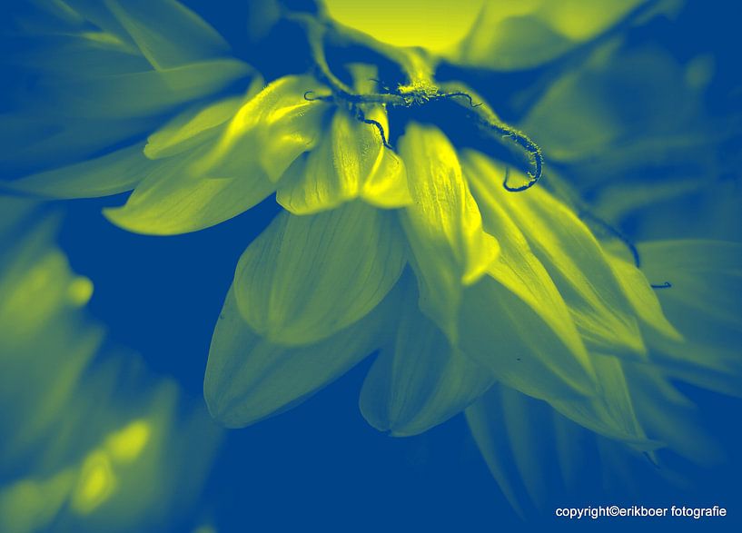 garden moods van erik boer