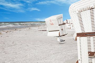 Strandstoelen op de Darß