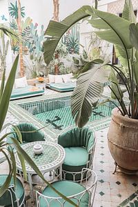 Tropische Pflanzen in einem marokkanischen Riad in Marrakech