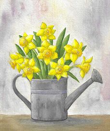 Daffodils in watering can by Sandra Steinke